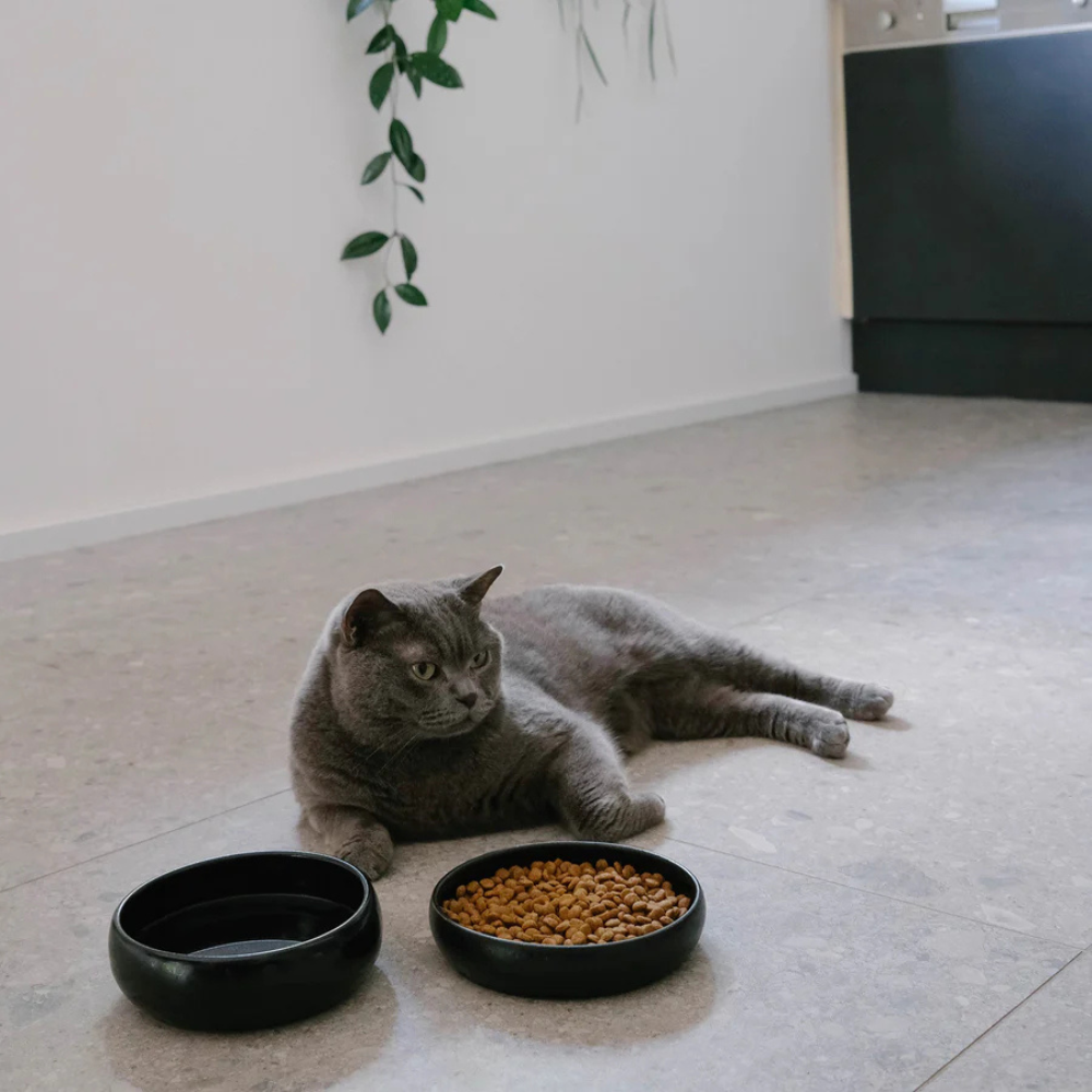 Katze Futter- & Wassernapf GOURMET Schwarz - The Catery