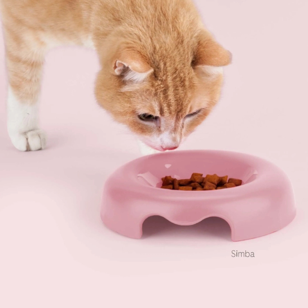 Katze mit Katzennapf Designer-Schale KITTY Rosa - United Pets