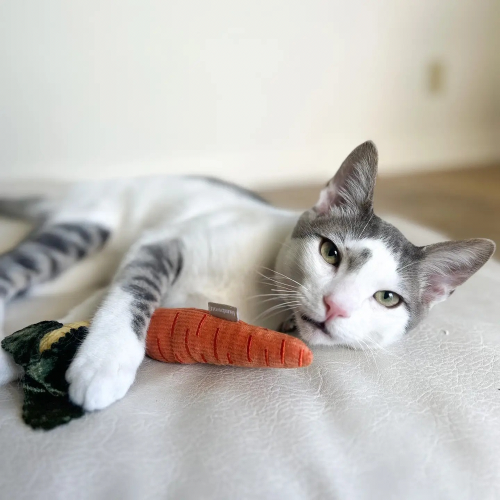 Katze mit Katzenspielzeug BABY CARROTS Karotten - Lambwolf collective