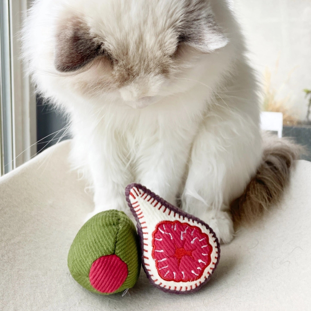 Katze mit Katzenspielzeug KITTY Set Olive + Feige - lambwolf collective