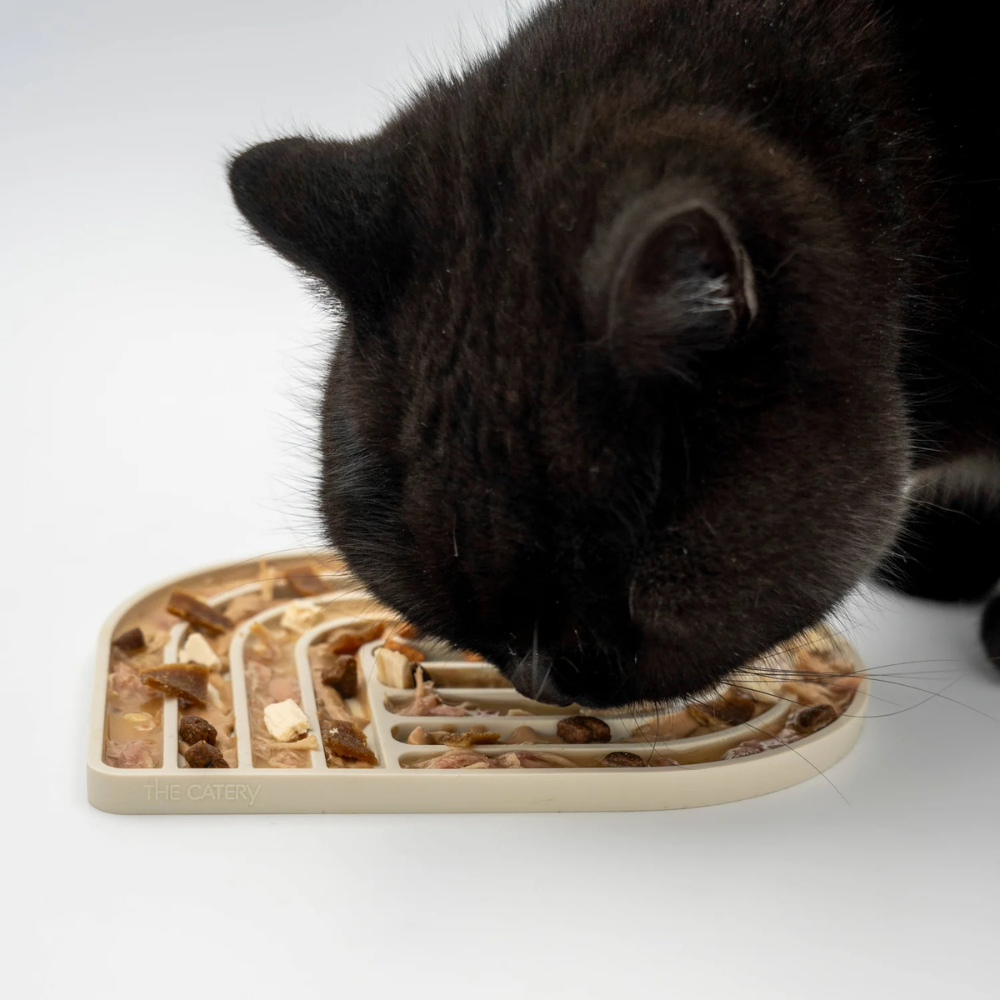 Katze mit befülltem Beschäftigungsspielzeug GOURMET Creme - The Catery