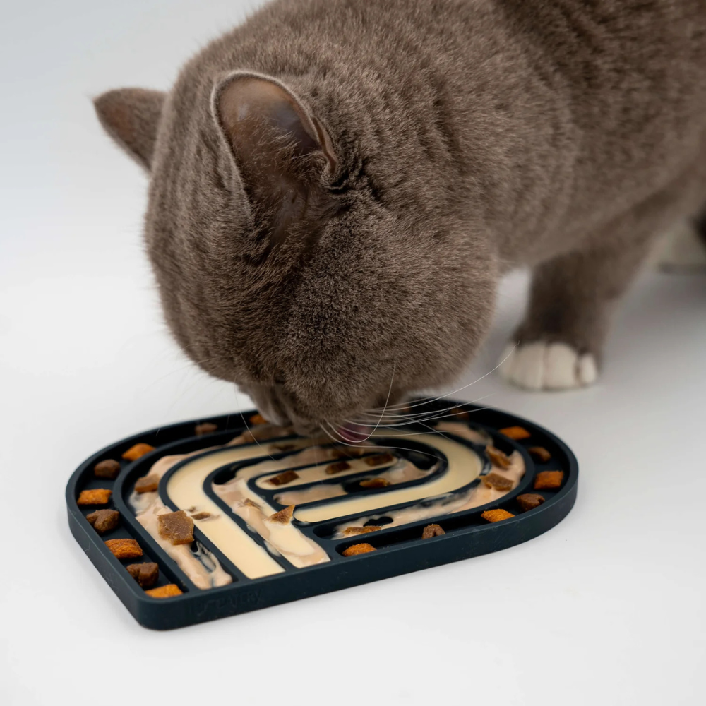 Katze mit befülltem Beschäftigungsspielzeug GOURMET Schwarz - The Catery