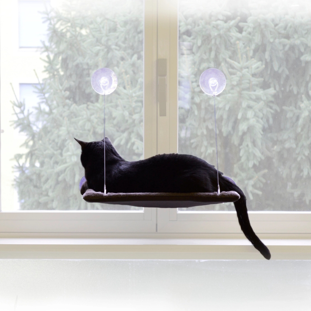 Katze auf Katzenbett PANORAMA für Fenster & Glastüren - United Pets