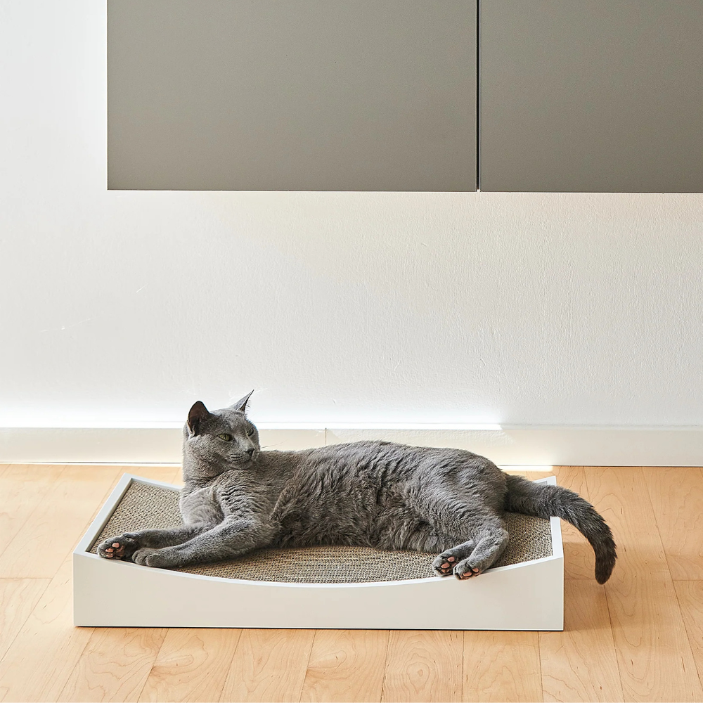 Katze liegend auf Kratzbrett GRATTA Weiß