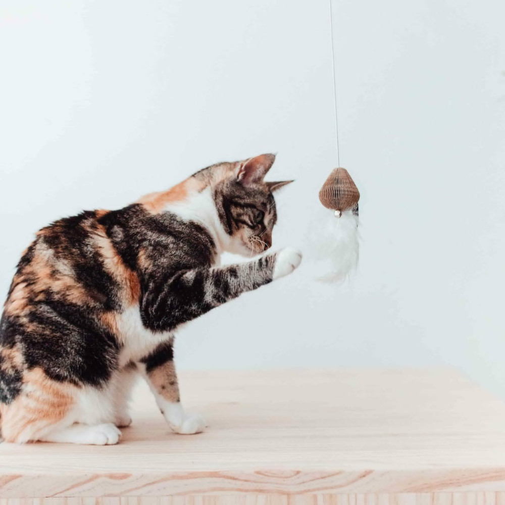 Katze mit Katzenangel SMASH mit Federn & Glöckchen Weiß - DISTRICT 70