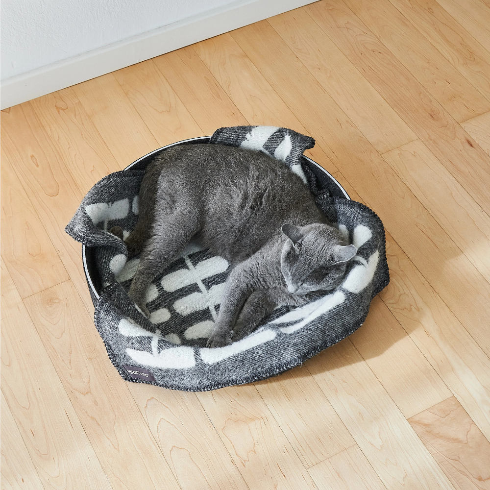 Katze mit Katzendecke FLORA Anthrazit Natur - MiaCara