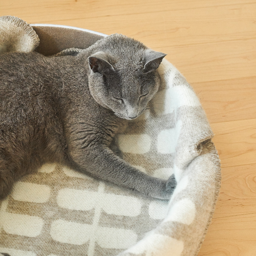 Katze mit Katzendecke FLORA Cappuccino Natur - MiaCara