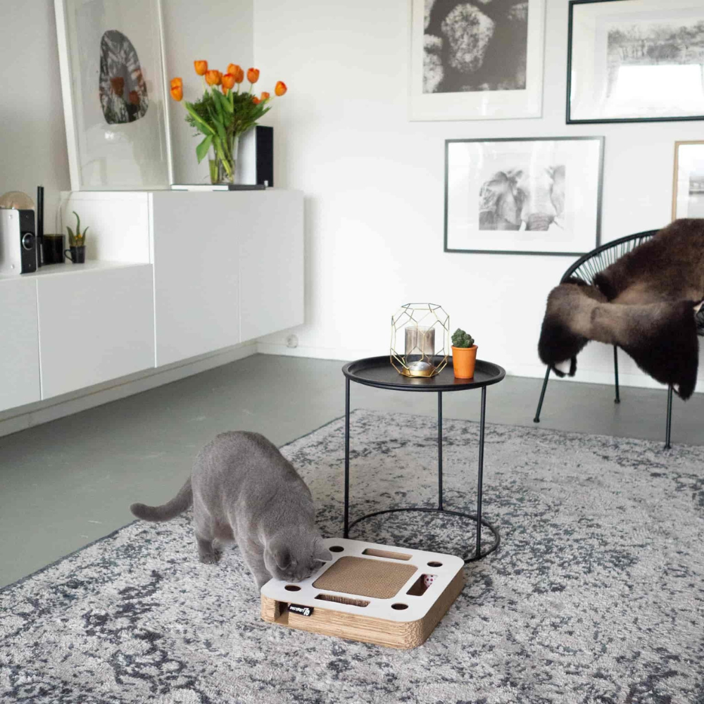 Katze mit Katzenspielzeug SPY Weiß - DISTRICT 70