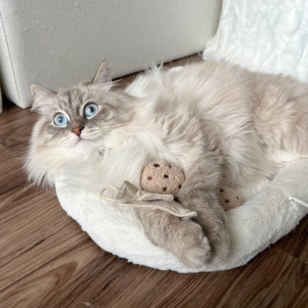 Katze mit Katzenspielzeug TEA TIME Teezeit - lambwolf collective
