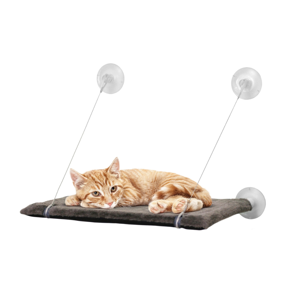Katzenbett PANORAMA für Fenster & Glastüren - United Pets