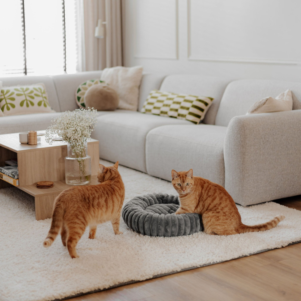 Katzen mit Katzenbett RIBBA Grau - DISTRICT 70