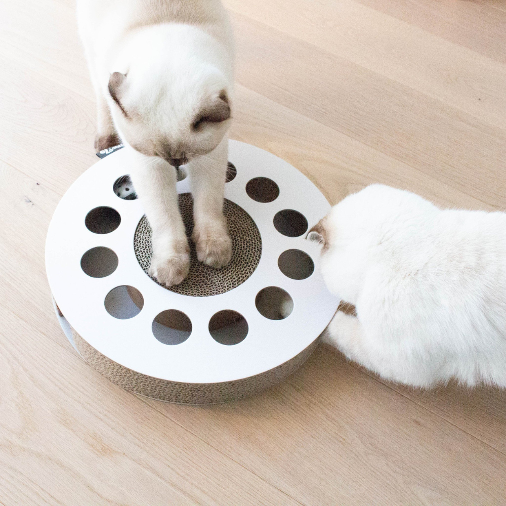 Katzen mit Katzenspielzeug WHIRL Weiß - DISTRICT 70
