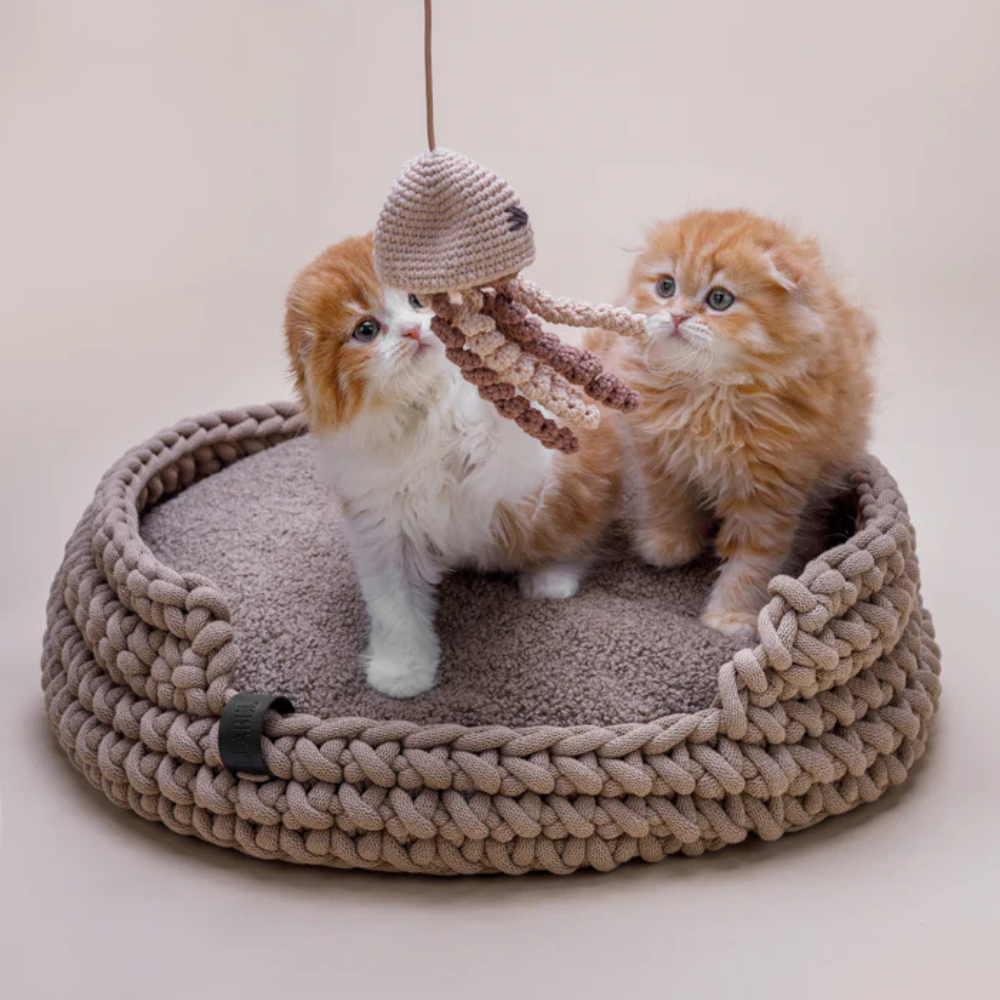 Kitten in Katzenbett aus recycelter Baumwolle Beige - Lillabel