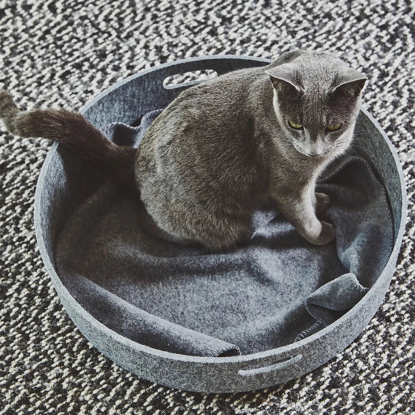 Katzendecke UNICA Kiesel