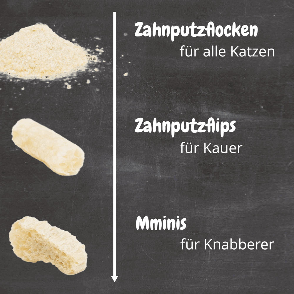 Übersicht Zahnputzprodulte für Katzen - QCHEFS